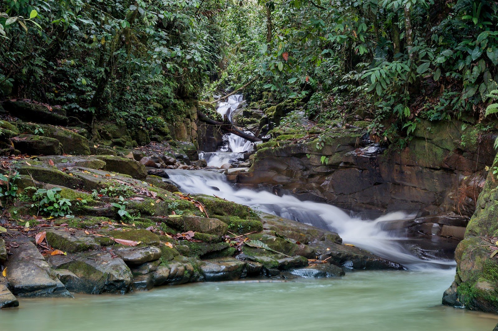 Barranco Guayaquil Chico - fotografía 1