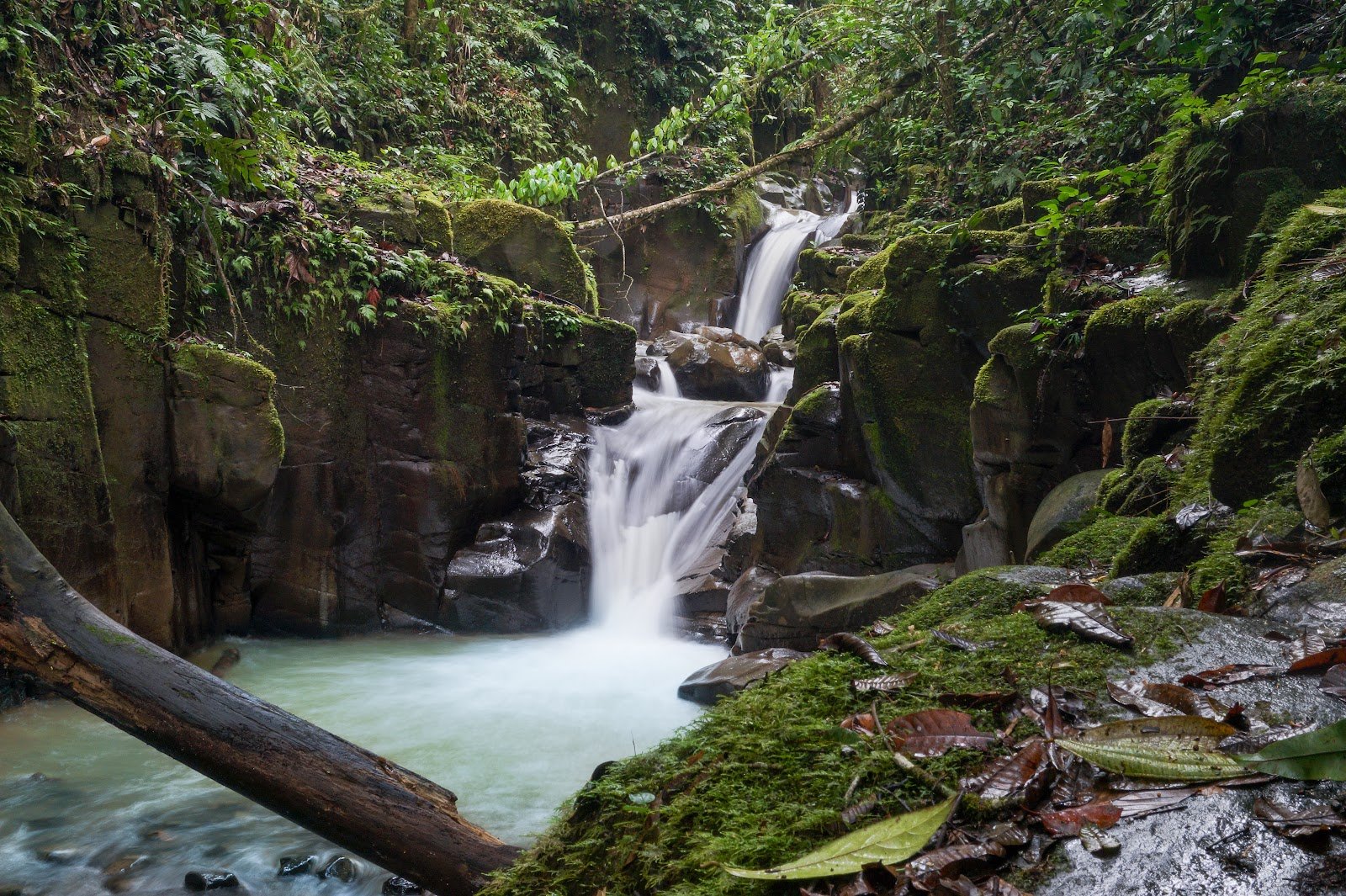 Barranco Guayaquil Chico