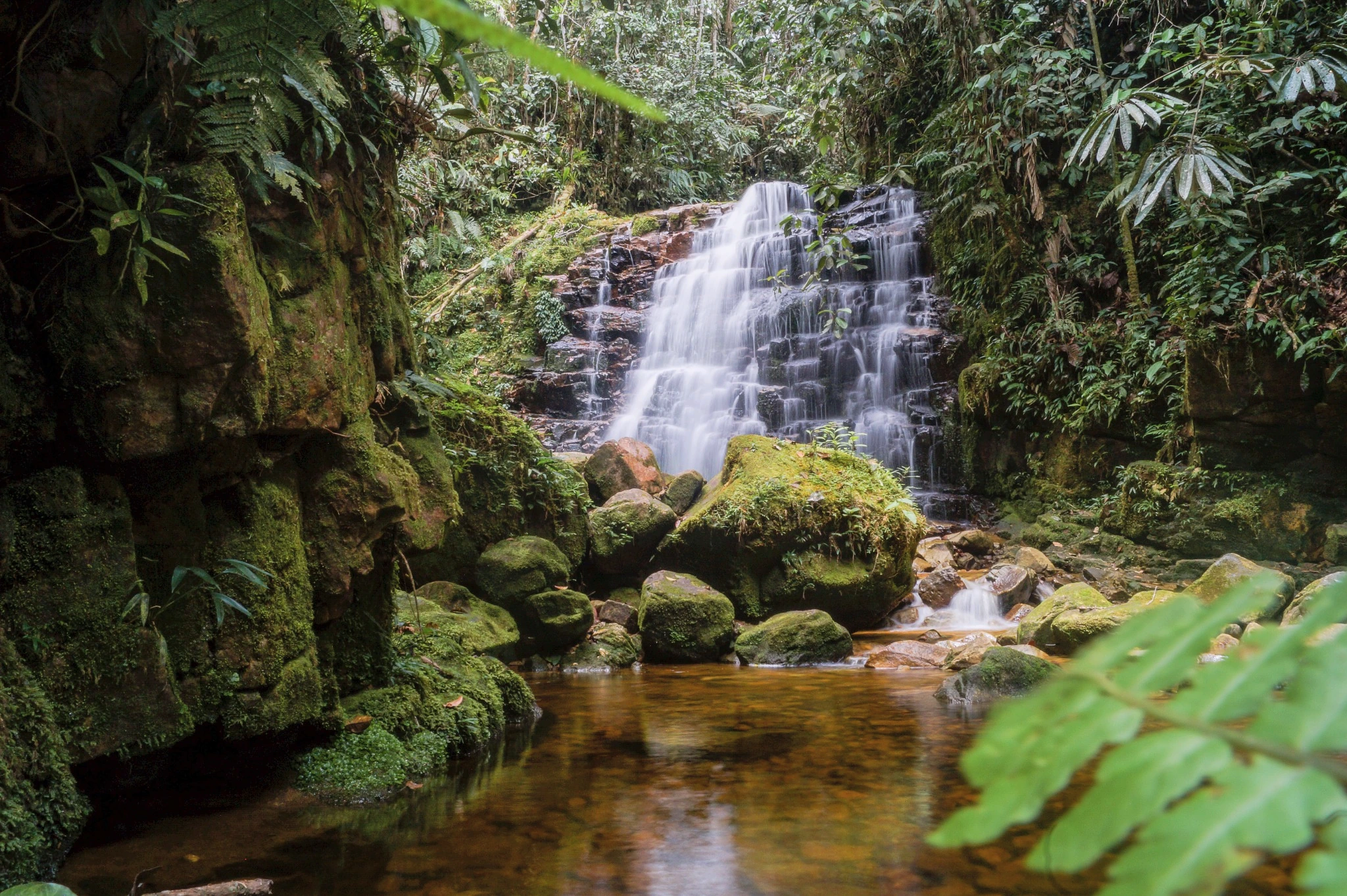 Cascada rodeada de bosque amazónico en Chiviaza