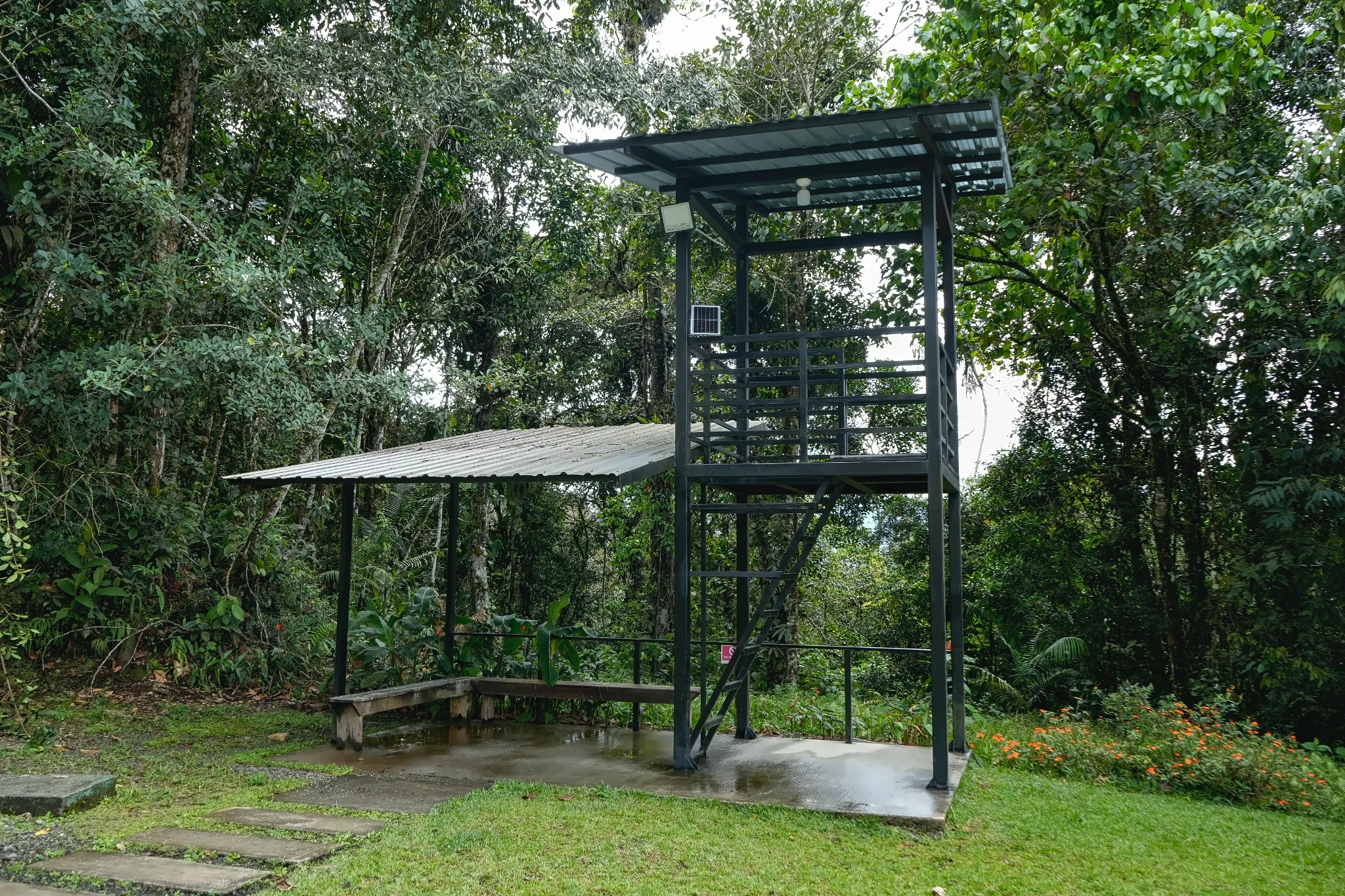 Mirador de observación en el bosque de Cascadas Coloradas Lodge