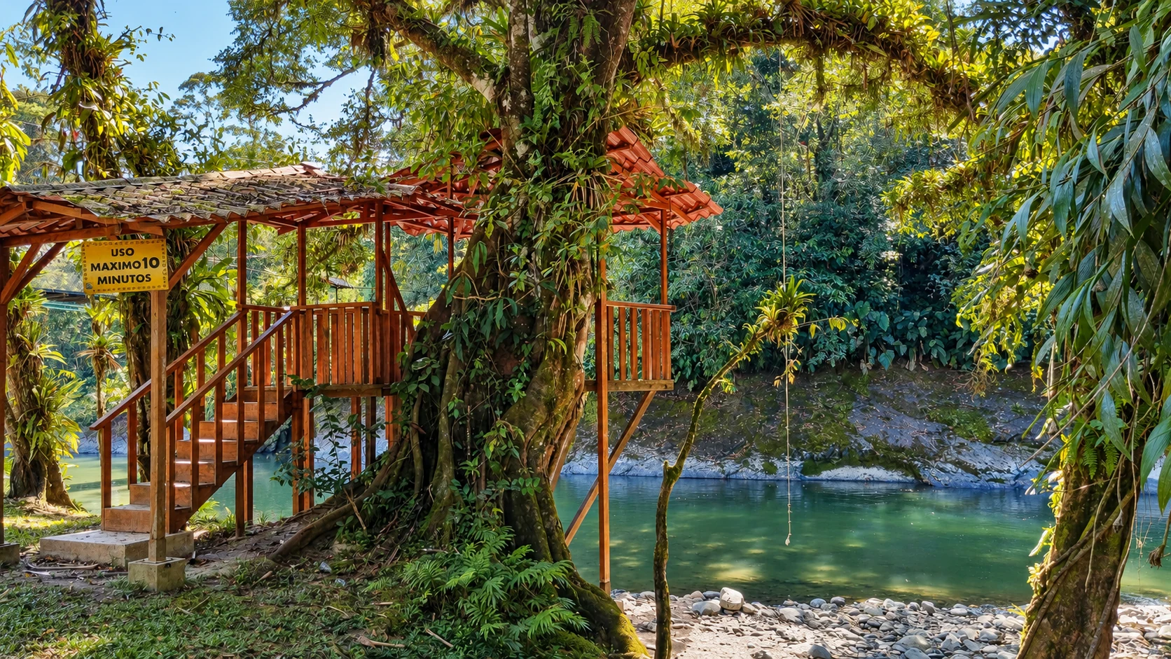 Campo Alegre — mirador de madera junto al árbol