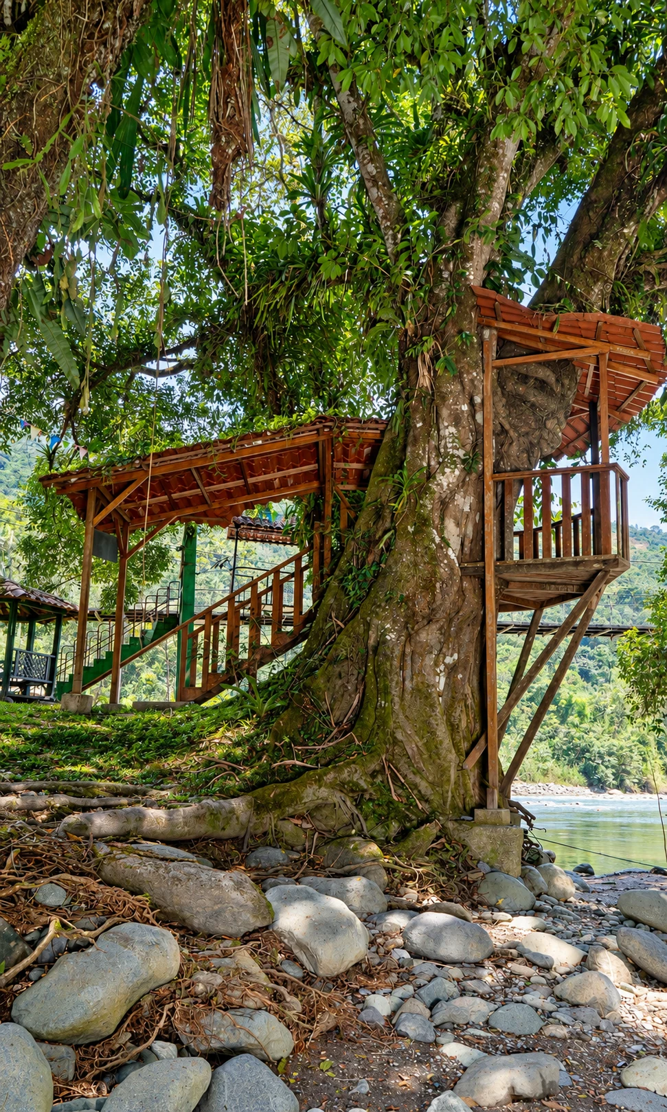 Campo Alegre — estructura de madera junto al árbol