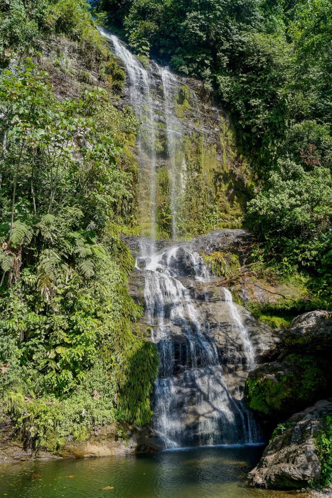 Caída de agua y vegetación de la Cascada Nanchikim