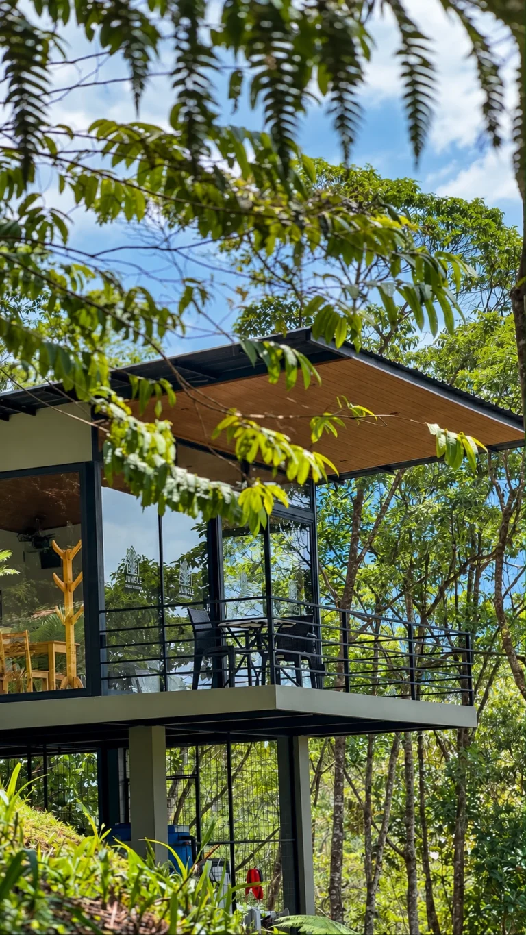 Fachada y terraza de Jungle House Veranda rodeadas de vegetación amazónica