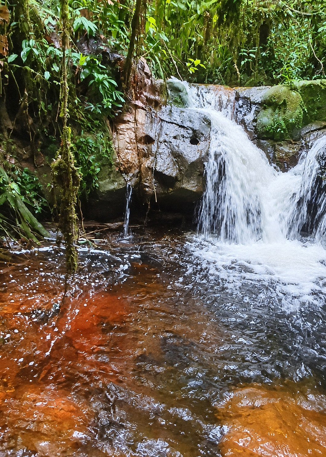 Cascada rodeada de bosque y rocas en Peña Sallqa Gallo